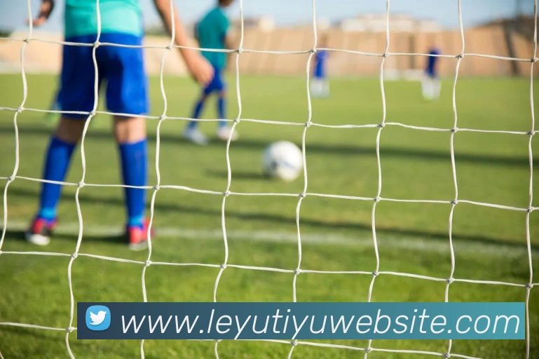 App Interface Preview