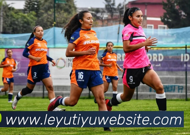 乐鱼体育APP 封面图